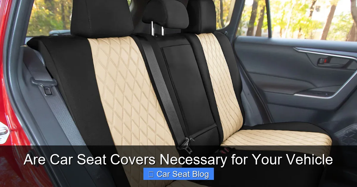 Are Car Seat Covers Necessary for Your Vehicle
