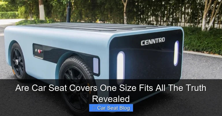 Are Car Seat Covers One Size Fits All The Truth Revealed