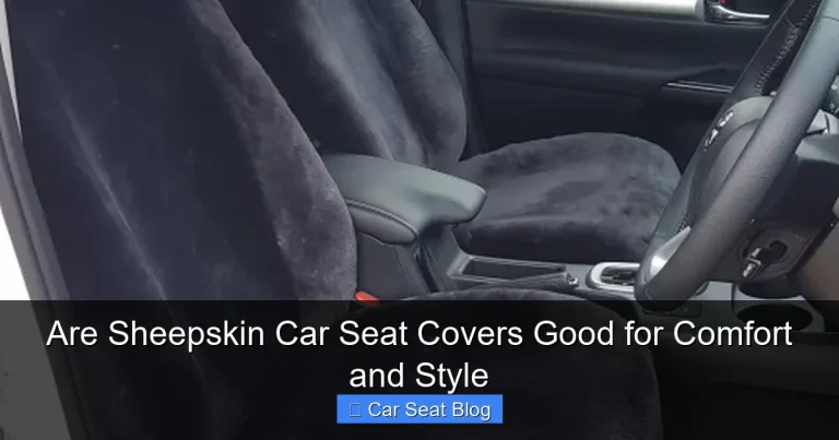 Are Sheepskin Car Seat Covers Good for Comfort and Style