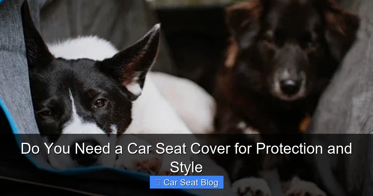 Do You Need a Car Seat Cover for Protection and Style