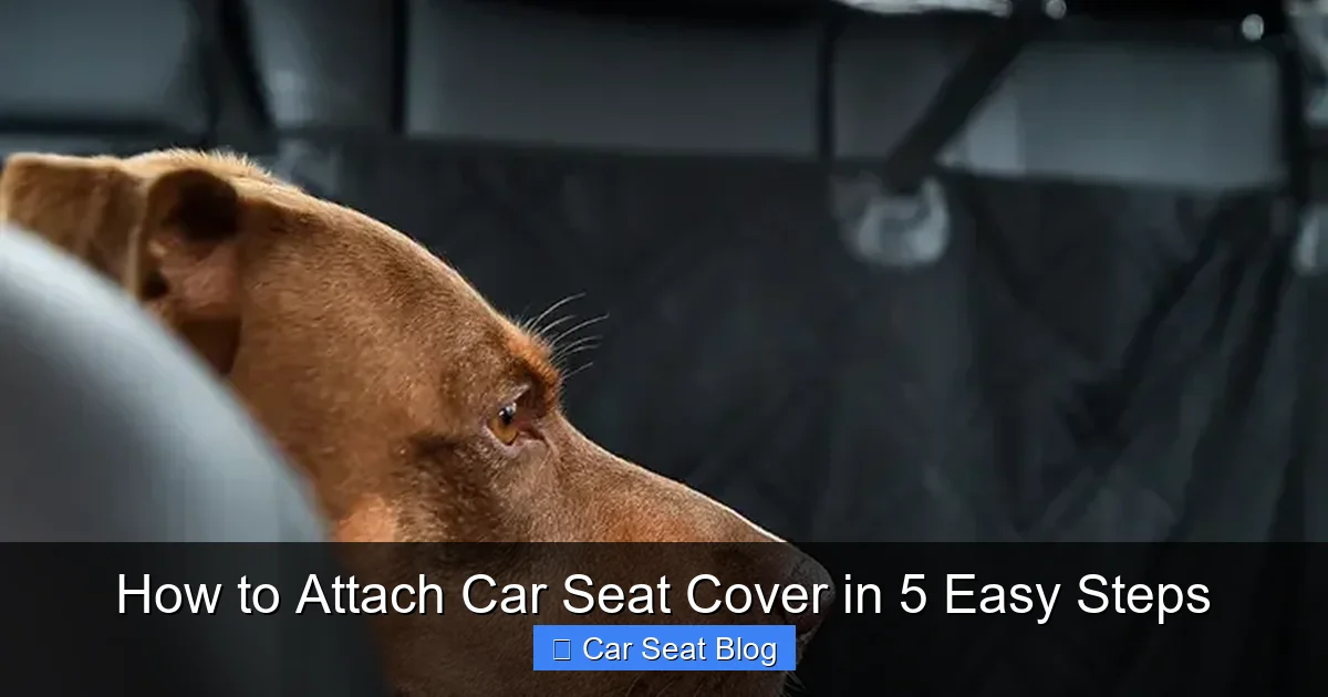 How to Attach Car Seat Cover in 5 Easy Steps