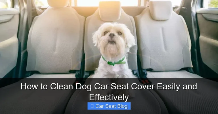 How to Clean Dog Car Seat Cover Easily and Effectively