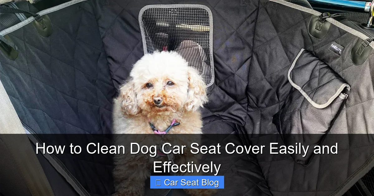 How to Clean Dog Car Seat Cover Easily and Effectively