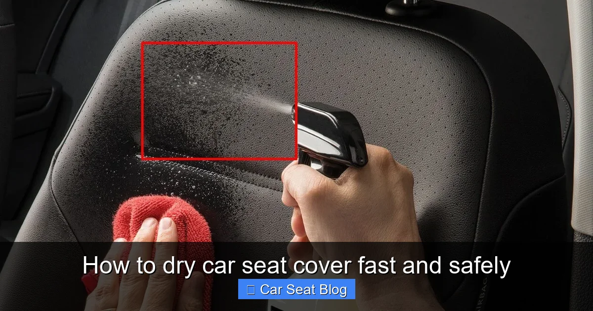 How to dry car seat cover fast and safely