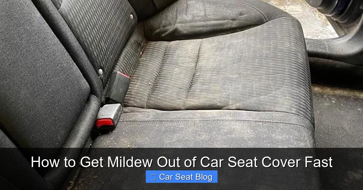 How to Get Mildew Out of Car Seat Cover Fast
