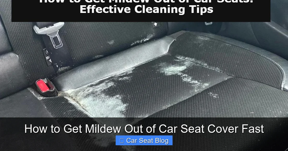 How to Get Mildew Out of Car Seat Cover Fast