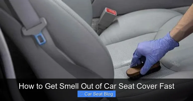 How to Get Smell Out of Car Seat Cover Fast
