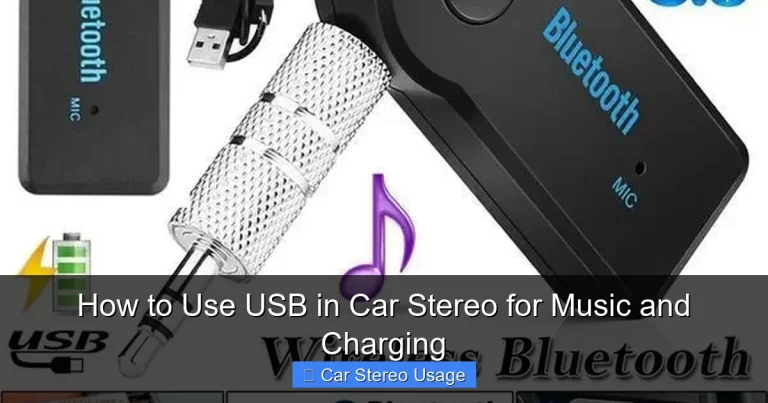 How to Use USB in Car Stereo for Music and Charging