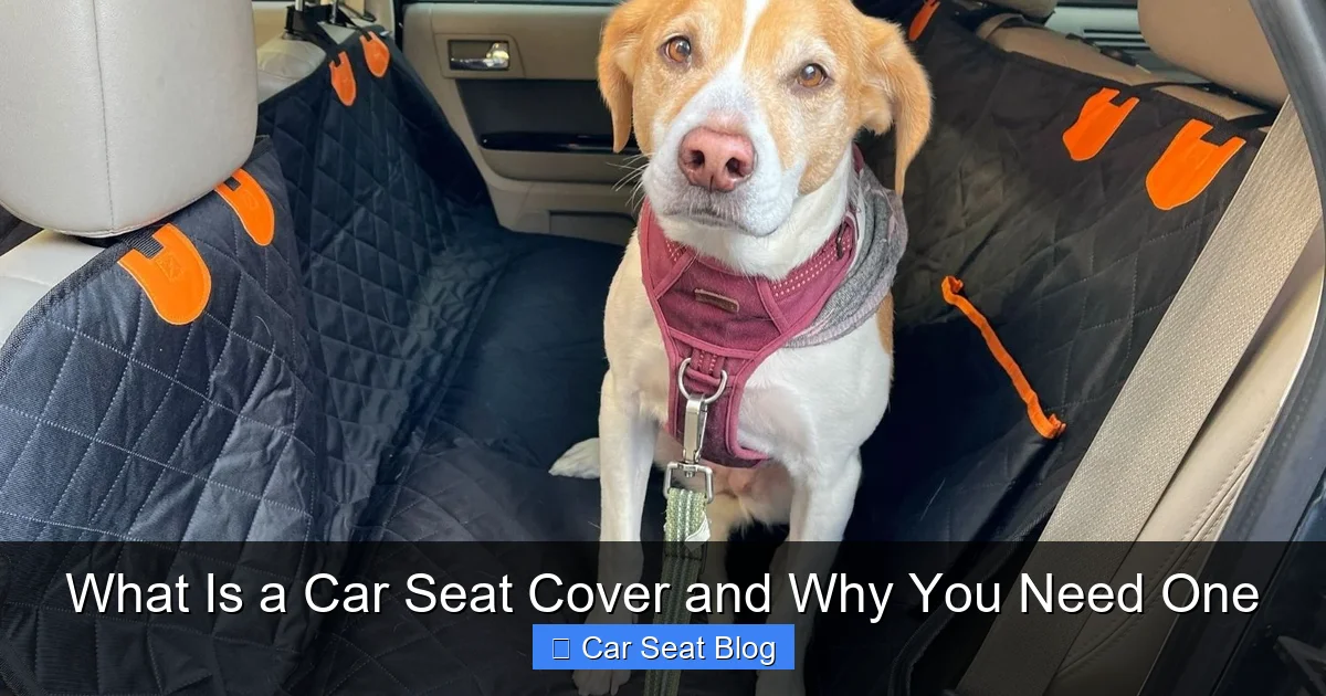 What Is a Car Seat Cover and Why You Need One