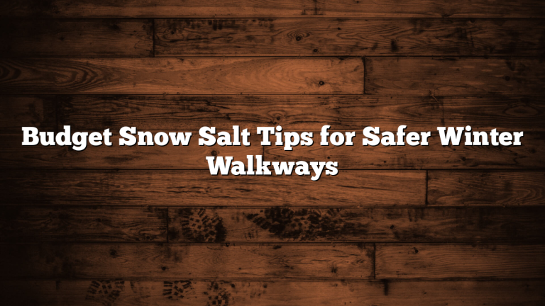 Budget Snow Salt Tips for Safer Winter Walkways