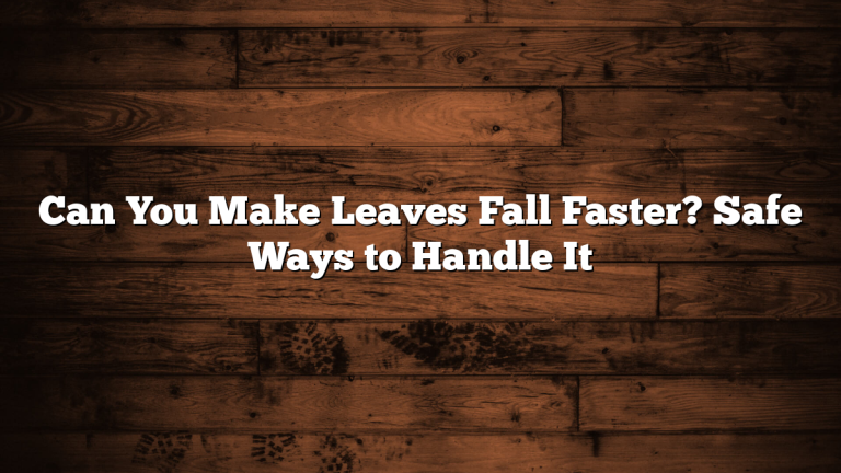 Can You Make Leaves Fall Faster? Safe Ways to Handle It