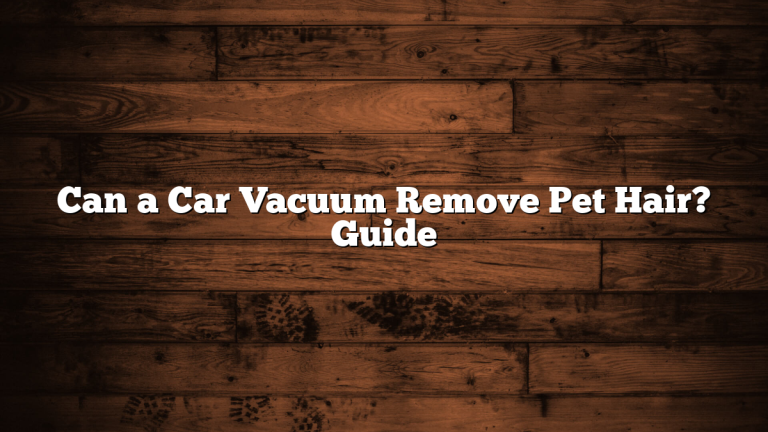 Can a Car Vacuum Remove Pet Hair? Guide