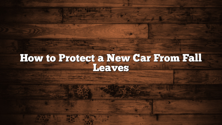 How to Protect a New Car From Fall Leaves