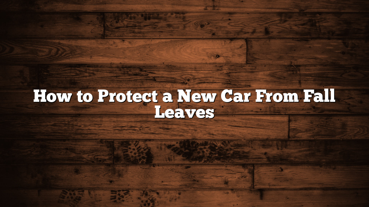 How to Protect a New Car From Fall Leaves