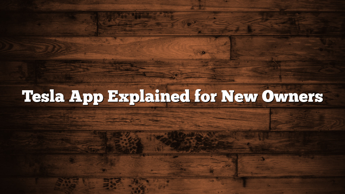 Tesla App Explained for New Owners