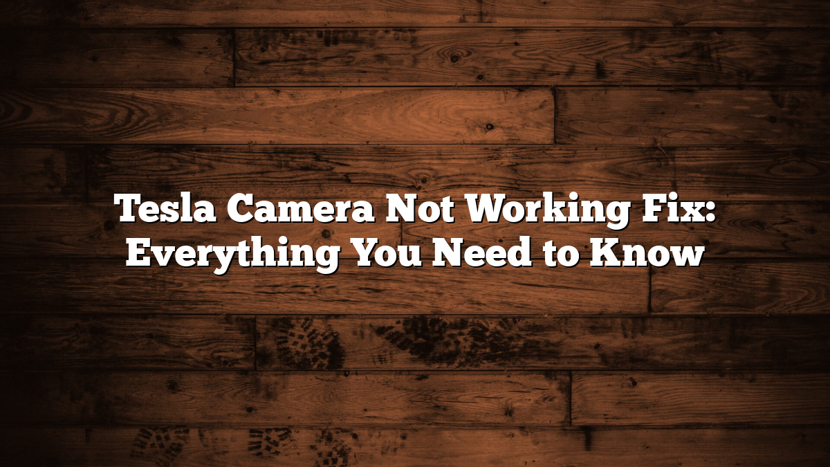 Tesla Camera Not Working Fix: Everything You Need to Know