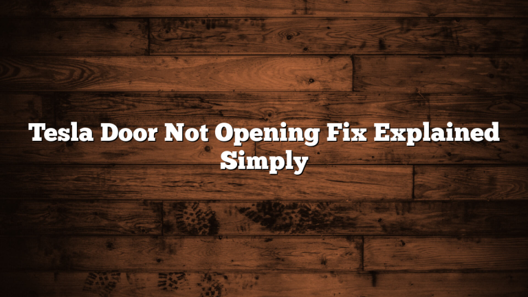 Tesla Door Not Opening Fix Explained Simply