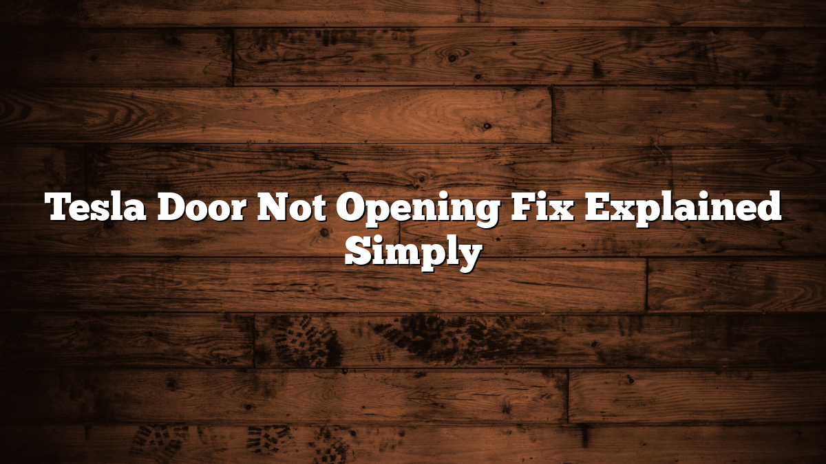 Tesla Door Not Opening Fix Explained Simply