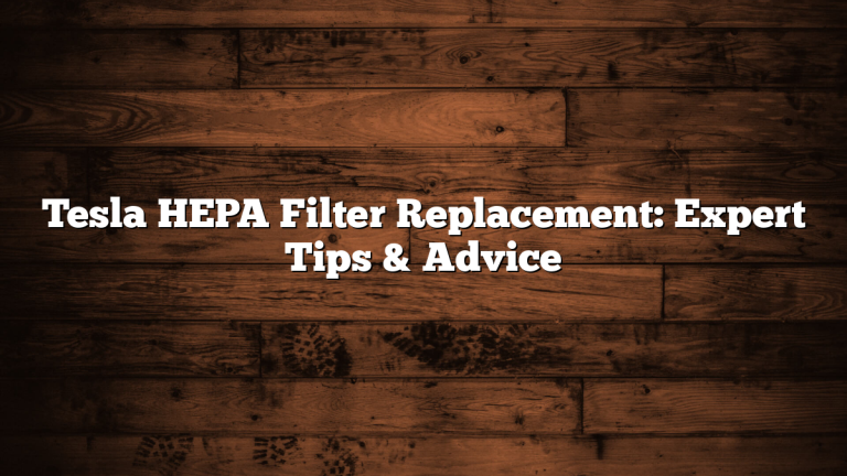 Tesla HEPA Filter Replacement: Expert Tips & Advice