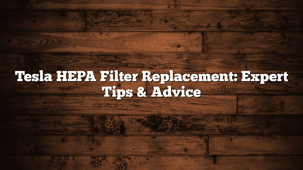 Tesla HEPA Filter Replacement: Expert Tips & Advice