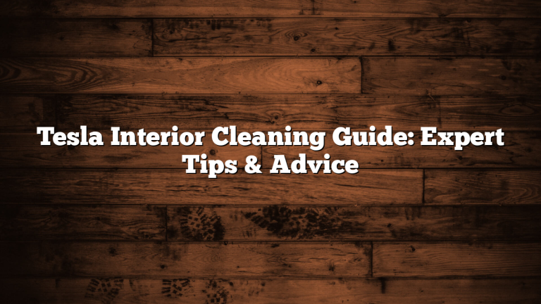 Tesla Interior Cleaning Guide: Expert Tips & Advice