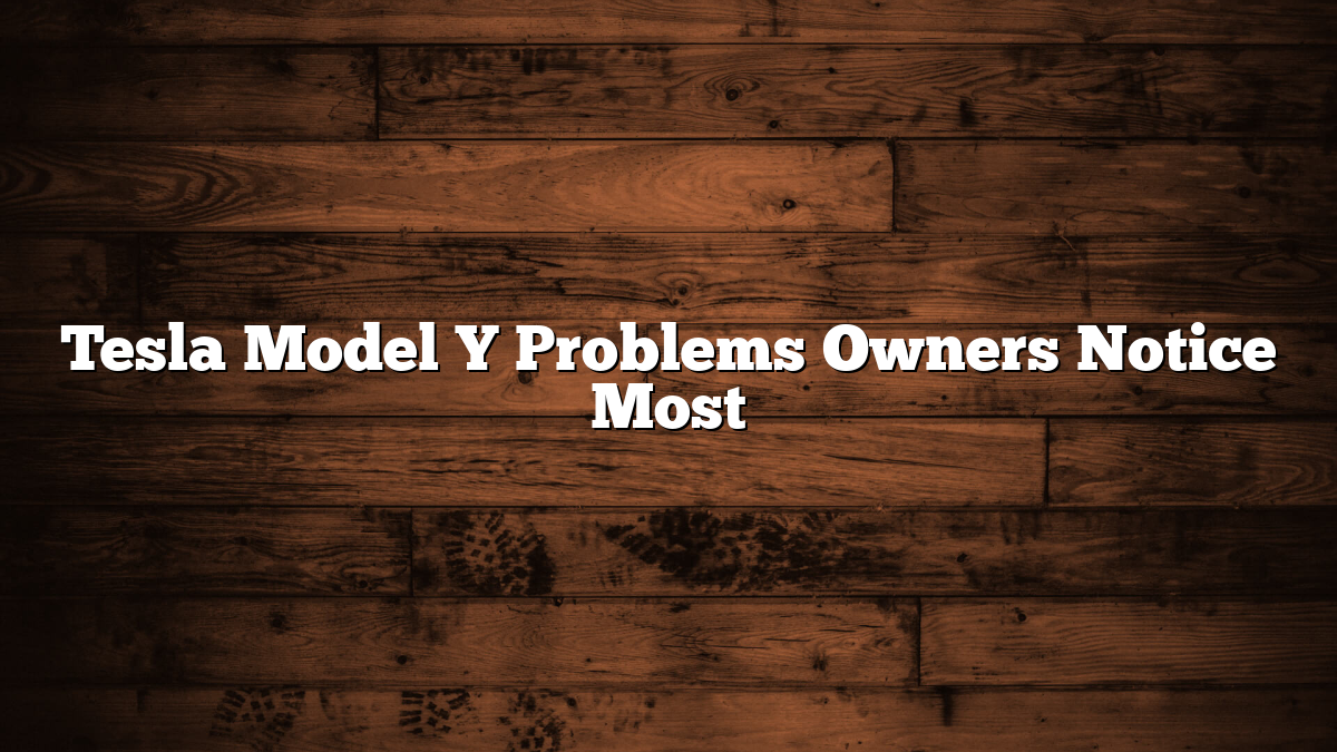 Tesla Model Y Problems Owners Notice Most