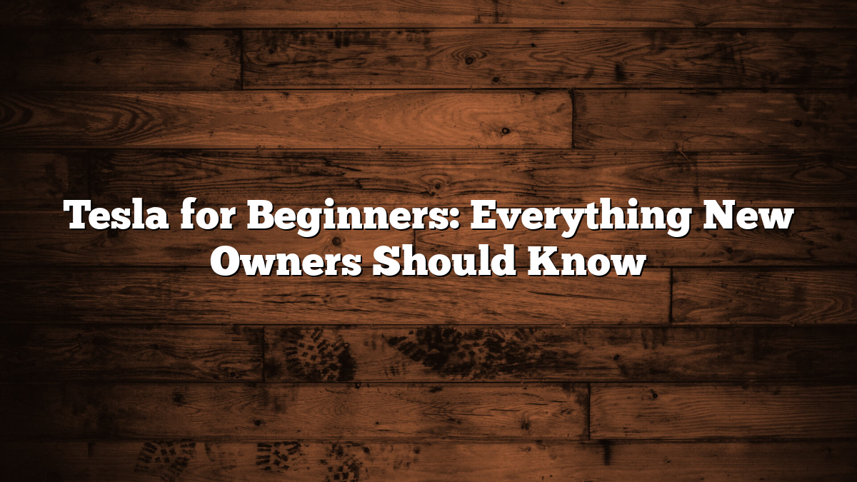 Tesla for Beginners: Everything New Owners Should Know