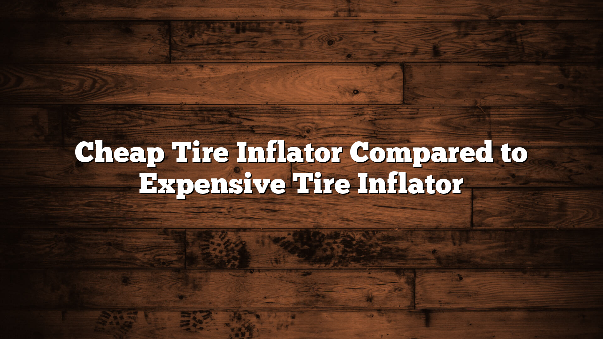 Cheap Tire Inflator Compared to Expensive Tire Inflator