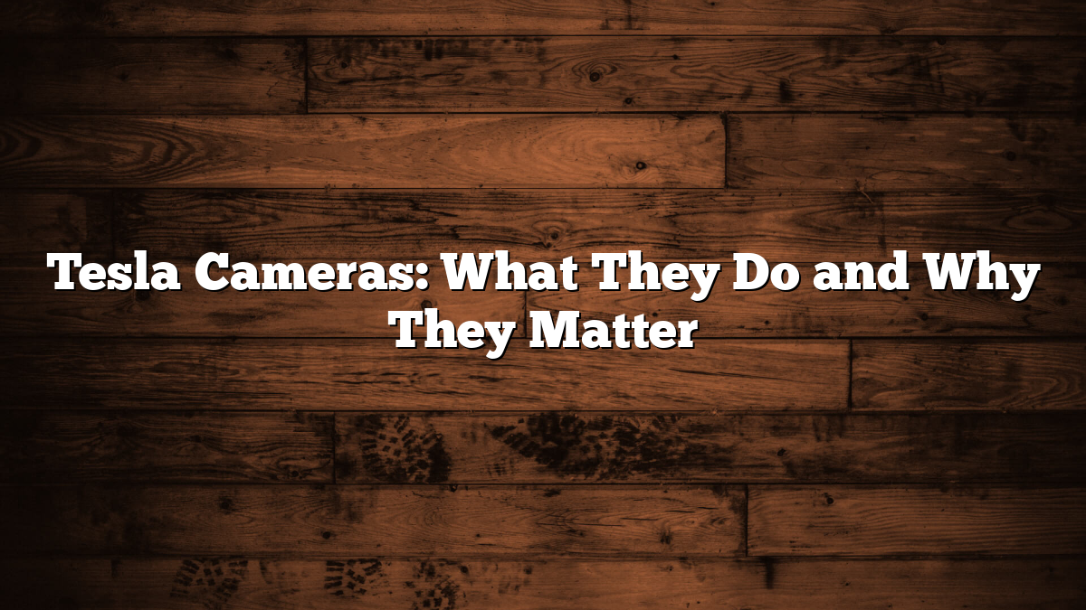 Tesla Cameras: What They Do and Why They Matter