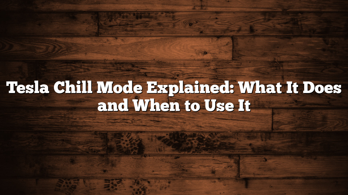 Tesla Chill Mode Explained: What It Does and When to Use It