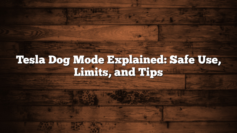 Tesla Dog Mode Explained: Safe Use, Limits, and Tips