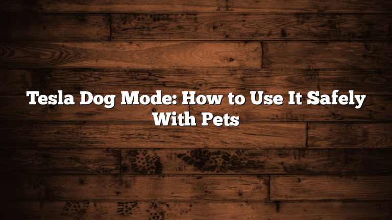 Tesla Dog Mode: How to Use It Safely With Pets
