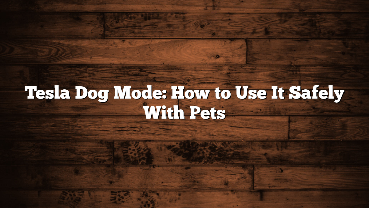 Tesla Dog Mode: How to Use It Safely With Pets