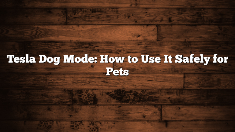 Tesla Dog Mode: How to Use It Safely for Pets