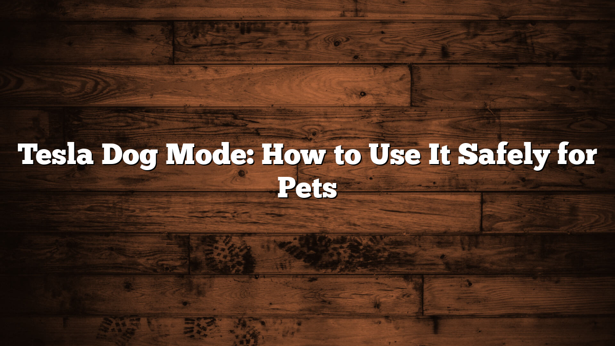 Tesla Dog Mode: How to Use It Safely for Pets