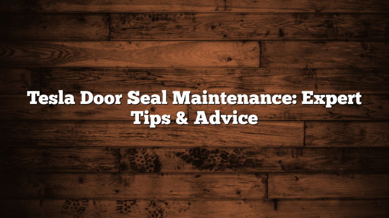 Tesla Door Seal Maintenance: Expert Tips & Advice