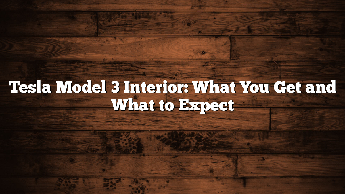 Tesla Model 3 Interior: What You Get and What to Expect