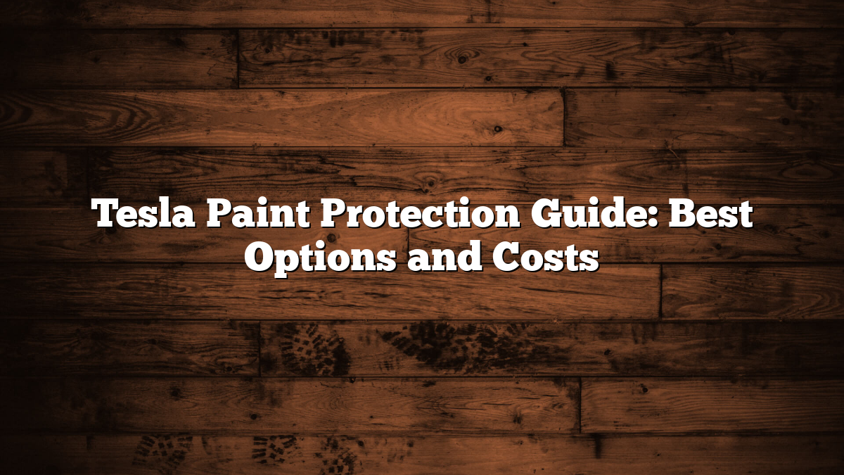 Tesla Paint Protection Guide: Best Options and Costs