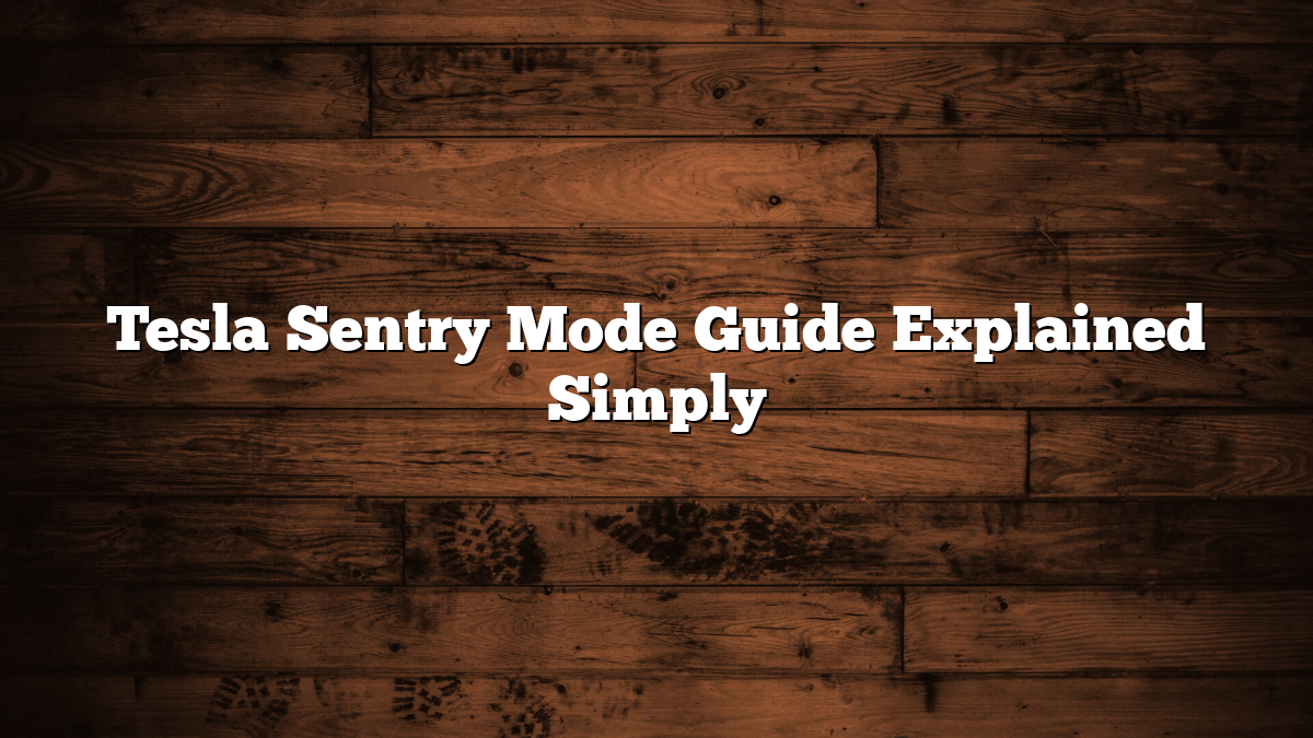 Tesla Sentry Mode Guide Explained Simply