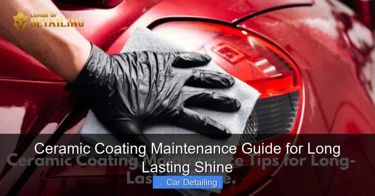 Ceramic Coating Maintenance Guide for Long Lasting Shine