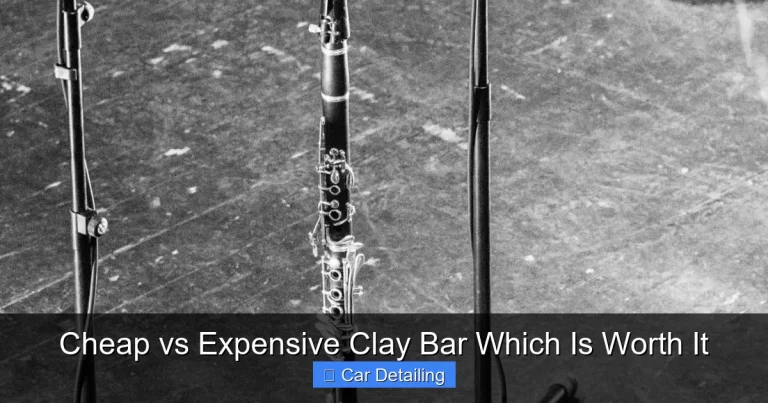 Cheap vs Expensive Clay Bar Which Is Worth It
