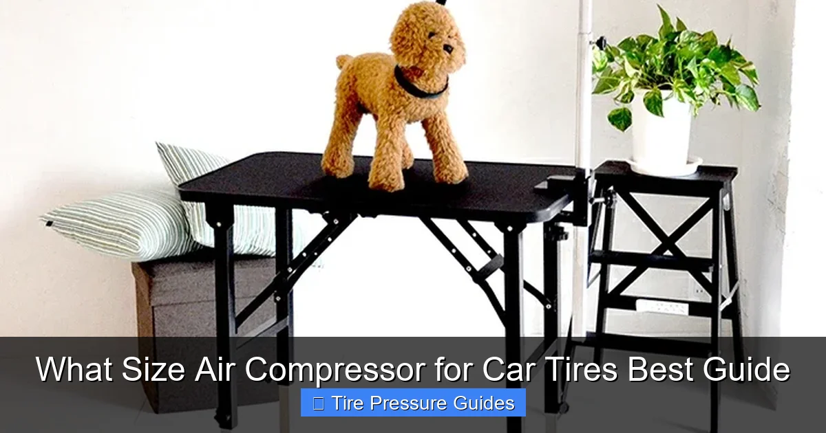 What Size Air Compressor for Car Tires Best Guide